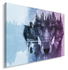 Obraz na plátně Lesní vlk Zvířata Příroda - 90x60 cm