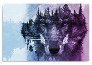 Obraz na plátně Lesní vlk Zvířata Příroda - 60x40 cm