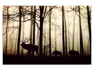 Obraz na plátně, Jelen v lese Fog Brown - 60x40 cm