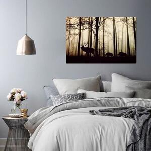 Obraz na plátně, Jelen v lese Fog Brown - 60x40 cm