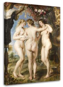 Obraz na plátně, REPRODUKCE Tři grácie Rubens - 80x120 cm