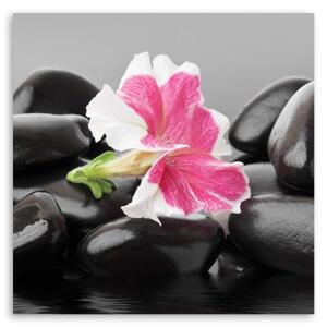 Obraz na plátně, Květiny Zenové kameny - 30x30 cm