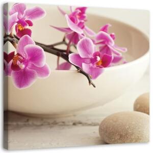 Obraz na plátně Růžové zenové orchideje - 30x30 cm