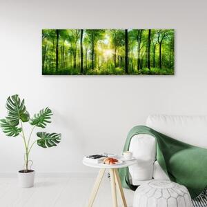 Obraz na plátně, Krajina Les Zelená příroda - 90x30 cm