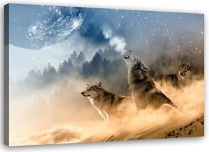 Obraz na plátně Vlk v mlze Lesní příroda - 90x60 cm
