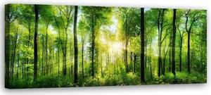 Obraz na plátně, Krajina Les Zelená příroda - 90x30 cm
