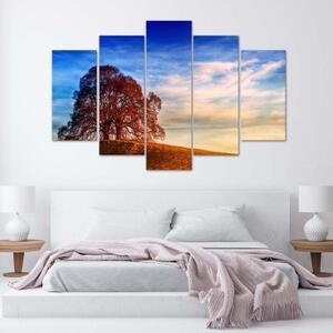 Obraz na plátně pětidílný Krajina Stromové hory - 100x70 cm