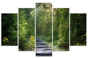 Obraz na plátně pětidílný Lesní příroda Zelená krajina - 100x70 cm