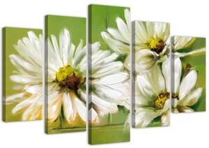 Obraz na plátně pětidílný Bílé květy sedmikrásek - 150x100 cm