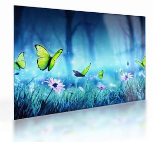 Skleněný obraz - Mystická lesní mýtina (70x50 cm)