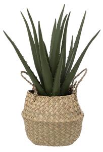 Umělá rostlina ALOE v košíku, 37 cm