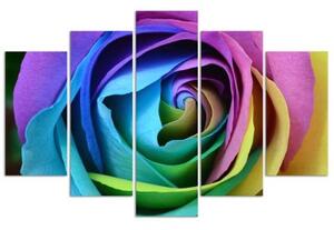 Obraz na plátně pětidílný Rose Flower barevné - 100x70 cm