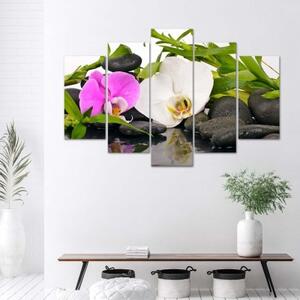 Obraz na plátně pětidílný Orchidejové bambusové kameny - 150x100 cm