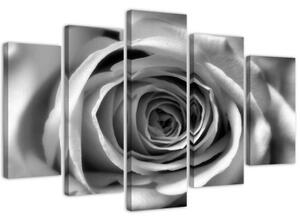 Obraz na plátně pětidílný Květ růže Černá a bílá - 100x70 cm