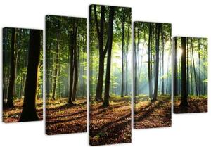 Obraz na plátně pětidílný Zelená příroda lesa - 150x100 cm