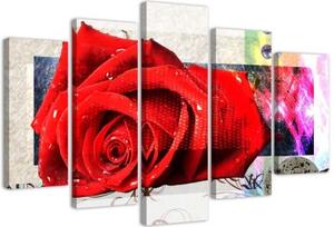 Obraz na plátně pětidílný Červené růže Květy Příroda - 150x100 cm