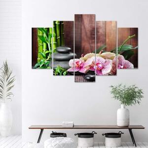 Obraz na plátně pětidílný Orchidejové kameny Bambus - 100x70 cm