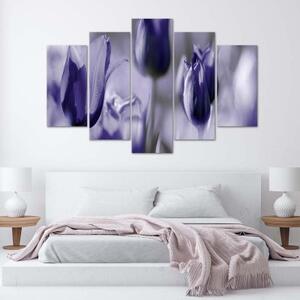 Obraz na plátně pětidílný Tulipán květ fialový - 100x70 cm