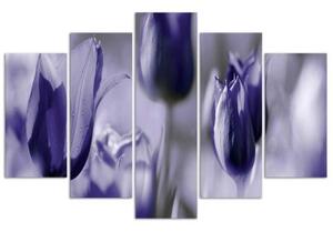 Obraz na plátně pětidílný Tulipán květ fialový - 100x70 cm