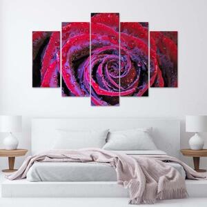 Obraz na plátně pětidílný Červená růžová květina - 100x70 cm