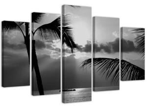 Obraz na plátně pětidílný Mořská palma černá a bílá - 150x100 cm