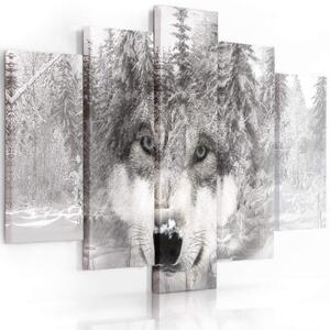 Obraz na plátně pětidílný Vlčí lesní zvíře šedé - 150x100 cm