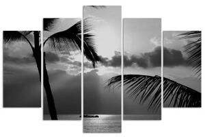 Obraz na plátně pětidílný Mořská palma černá a bílá - 100x70 cm