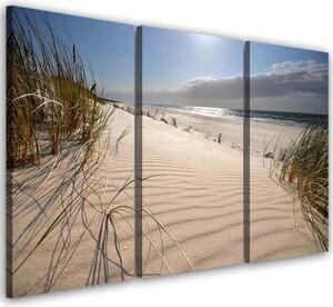 Obraz na plátně třídílný Pláž Mořské duny Příroda - 90x60 cm