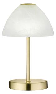 STOLNÍ LED LAMPA, dotykový stmívač, 15/24 cm Boxxx - Stolní lampy