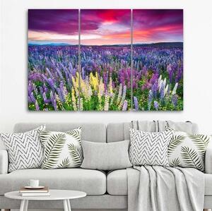Obraz na plátně třídílný Levandulového pole Příroda - 150x100 cm