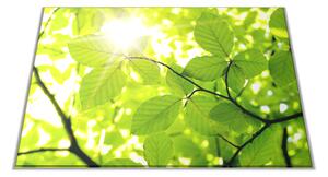 Skleněné prkénko slunce mezi listím - 30x20cm