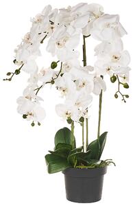 Umělá rostlina ORCHID 65 cm Bílá
