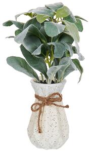 Umělá rostlina PEPEROMIA ARGYREIA 30 cm Zelená