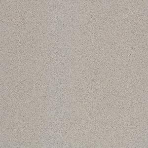 Dlažba Rako Taurus Granit šedá 20x20 cm mat TAA25076.1
