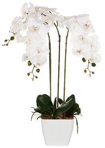 Umělá rostlina ORCHID 59 cm Bílá