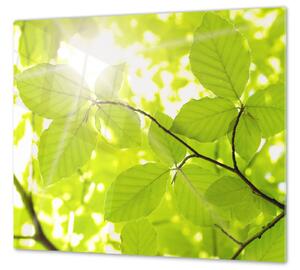 Ochranná deska slunce mezi listím - 50x70cm / Bez lepení na zeď