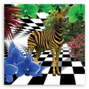 Obraz na plátně, Barevná zvířata přírody Zebra - 40x40 cm
