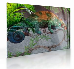 Skleněný obraz - Chameleon (70x50 cm)