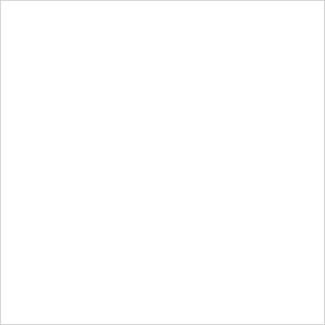 Obklad Fineza Happy bílá 20x20 cm lesk HAPPY20WH