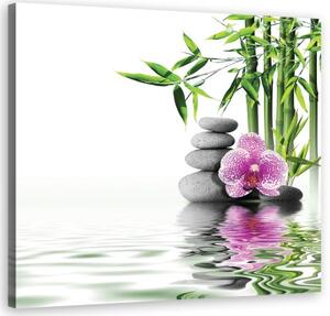 Obraz na plátně, Vodní zahrada Zen - 40x40 cm