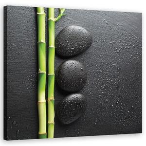 Obraz na plátně, Bambusové a Zen kameny - 30x30 cm