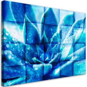Obraz na plátně, Modrý květ - 90x60 cm
