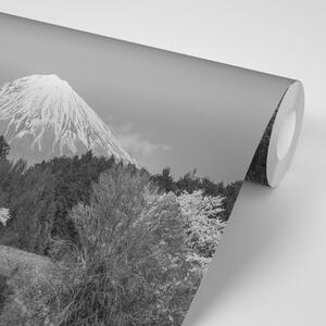 Fototapeta hora Fuji v černobílém