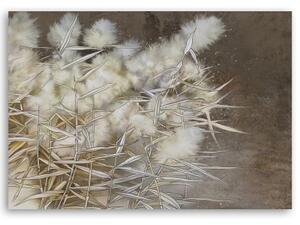 Obraz na plátně, Cane Boho tráva - 60x40 cm