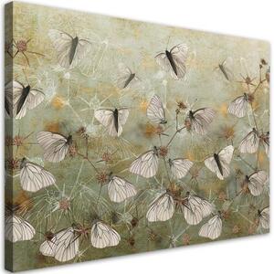 Obraz na plátně, Abstraktní motýli na louce - 120x80 cm