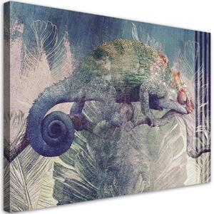 Obraz na plátně, Chameleon na větvi - 60x40 cm