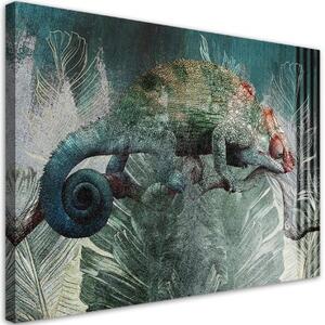 Obraz na plátně, Chameleon v džungli - 60x40 cm