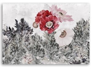 Obraz na plátně, Malované červené máky v zahradě - 60x40 cm