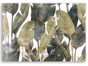 Obraz na plátně, Banánové listy - 60x40 cm