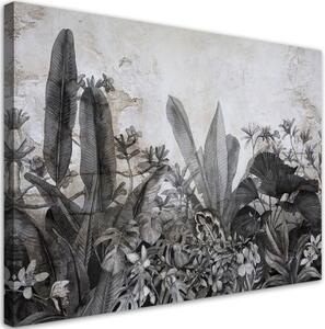 Obraz na plátně, Černé a bílé listy na pozadí betonu - 60x40 cm